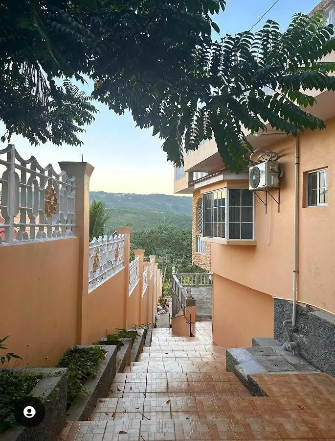 Lion'S View Bed & Breakfast Mandeville