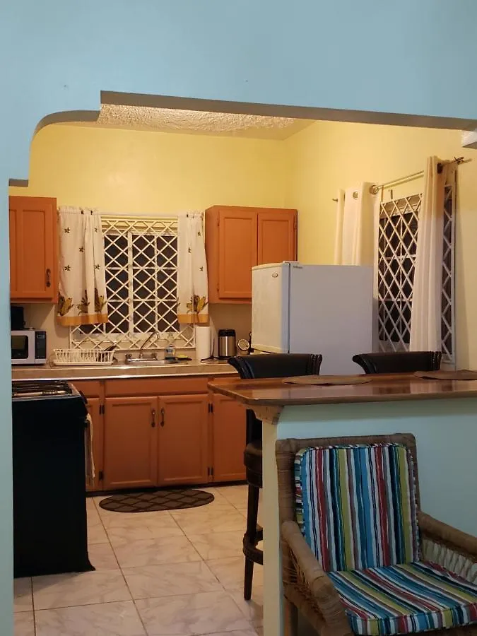 Lion'S View Bed & Breakfast Mandeville Guest house