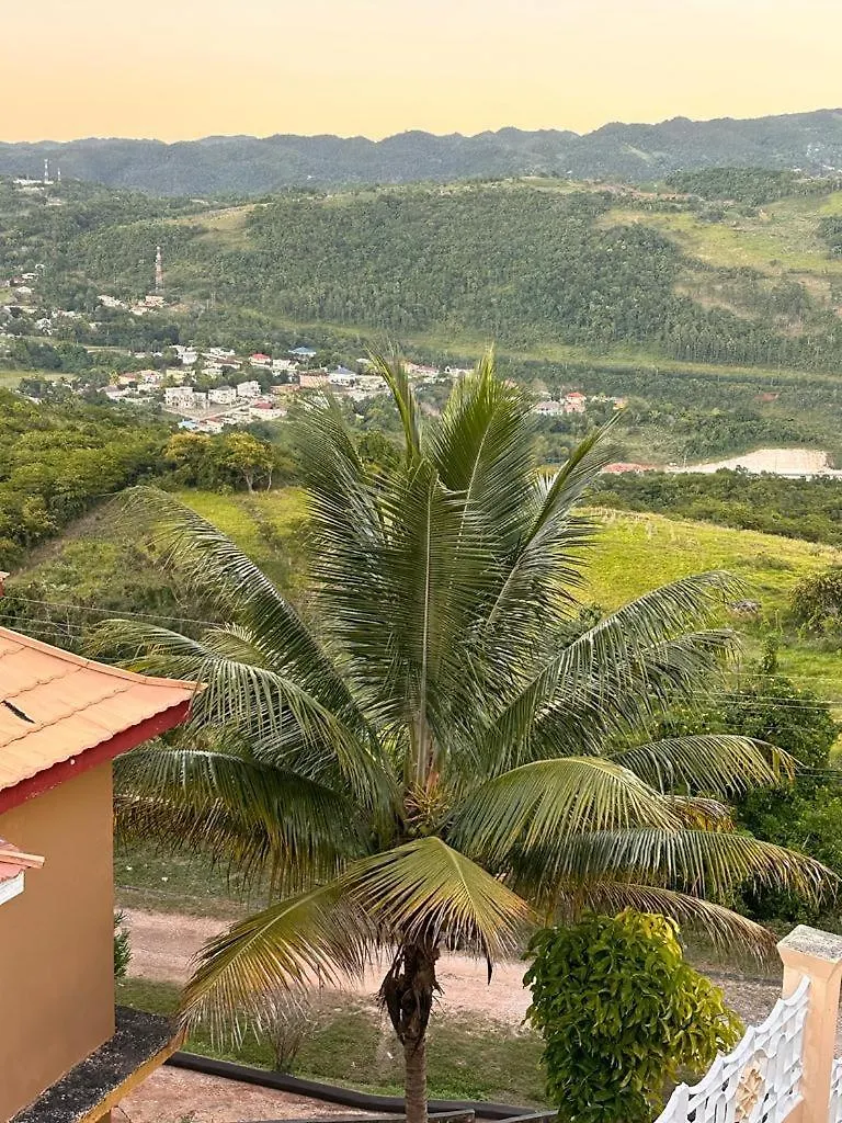 Pensión Lion'S View Bed & Breakfast Mandeville